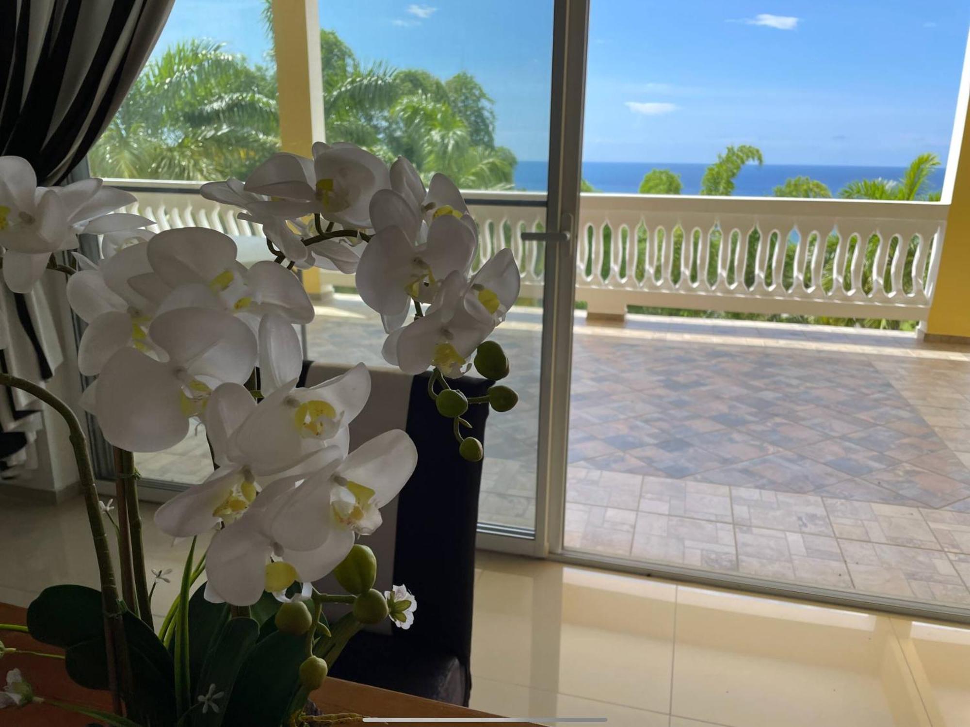 מונטגו ביי Spring Garden Mobay Resort מראה חיצוני תמונה